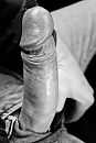 Kiekeboe, foto 445x660, 2 reacties, 6 stemmen