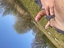 Klaar voor …., foto 640x480, 13 reacties, 46 stemmen