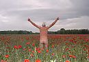 Klaprozen, foto 615x428, 2 reacties, 4 stemmen