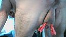 Knijpers ..., foto 640x360, 0 reacties, 0 stemmen
