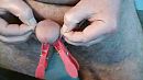 Knijpers ..., foto 640x360, 0 reacties, 2 stemmen