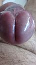 Knop, foto 2250x4000, 4 reacties, 7 stemmen