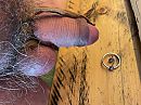 Kom bijna…, foto 4000x3000, 1 reacties, 4 stemmen
