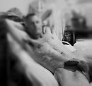 Kom jij me...., foto 2137x2019, 2 reacties, 6 stemmen