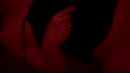 Kort, film 00:00:12, 2 reacties, 14 stemmen