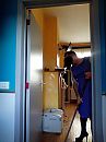 Kuisen 2, foto 1920x2560, 2 reacties, 6 stemmen