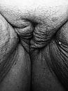 Kut in rust, foto 960x1280, 15 reacties, 55 stemmen