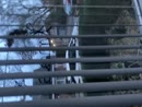 Laatste ochtend, film 00:00:00, 0 reacties, 4 stemmen