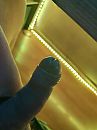 Lakker hard en nat, foto 3000x4000, 1 reacties, 4 stemmen