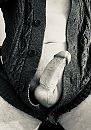 Last chance, foto 2172x3085, 0 reacties, 8 stemmen
