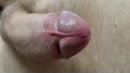 Lekker aan me pik zitten., film 00:00:26, 1 reacties, 10 stemmen