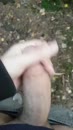 Lekker in het bos, film 00:00:00, 24 reacties, 55 stemmen