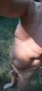 Lekker naakt door het bos., film 00:00:00, 3 reacties, 10 stemmen