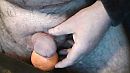 Lekker ..., foto 640x360, 1 reacties, 2 stemmen