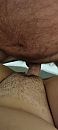 Lekker, foto 720x1600, 5 reacties, 31 stemmen