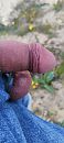 Lekker, foto 1796x4000, 1 reacties, 6 stemmen