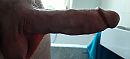 Lekker dik, foto 4000x1845, 16 reacties, 25 stemmen