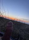 Lekker fris zo in de duinen, foto 3000x4000, 1 reacties, 13 stemmen