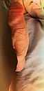 Lekker hard, foto 514x1032, 4 reacties, 11 stemmen