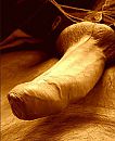Lekker hard, foto 814x992, 9 reacties, 21 stemmen