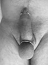 Lekker met ringen, foto 2320x3088, 16 reacties, 44 stemmen