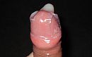 Lekker vol, foto 2228x1393, 1 reacties, 6 stemmen