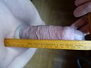 Lengte: 17,1 cm, foto 1000x750, 3 reacties, 3 stemmen