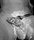 Lets shave, foto 2128x2472, 6 reacties, 4 stemmen
