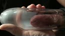 Live, film 00:00:00, 7 reacties, 11 stemmen