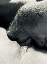 Love it, foto 1536x2048, 5 reacties, 28 stemmen