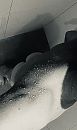 Loving a good shower…., foto 1772x2966, 13 reacties, 33 stemmen
