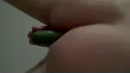 Me kontje van binnen masseren., film 00:00:11, 3 reacties, 12 stemmen