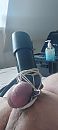 Melken, foto 1472x3264, 4 reacties, 10 stemmen