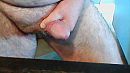 Mijn ..., foto 640x360, 0 reacties, 0 stemmen