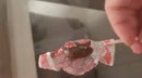 Miss lollipop, film 00:00:00, 36 reacties, 128 stemmen
