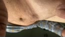 Mistig, film 00:00:19, 4 reacties, 12 stemmen