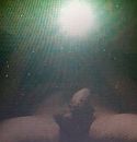 Mmm.., foto 412x428, 0 reacties, 1 stemmen