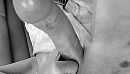 Mmmmm ....., foto 560x320, 2 reacties, 1 stemmen