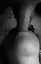 Mmmmmmm, foto 1656x2541, 0 reacties, 2 stemmen