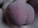 M'n ballen mooi geschoren, foto 1200x900, 0 reacties, 5 stemmen