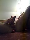 Moi spelen met dildo, foto 1944x2592, 2 reacties, 4 stemmen