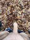 Mooie herfst kleuren, foto 1536x2048, 5 reacties, 14 stemmen