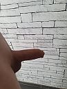 Morgen hornie, foto 3000x4000, 5 reacties, 20 stemmen