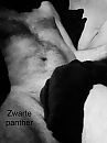 Morgenstond heeft…, foto 1576x2098, 1 reacties, 7 stemmen