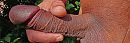 My dickpic, foto 2632x893, 5 reacties, 19 stemmen