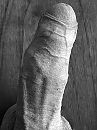 My morning wood is ready to go, foto 3000x4000, 0 reacties, 4 stemmen