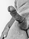 My toy, your joy?, foto 769x1024, 4 reacties, 7 stemmen