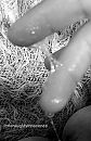 NAT, foto 1134x1741, 51 reacties, 139 stemmen