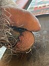 Na 2 uur, foto 3000x4000, 0 reacties, 0 stemmen