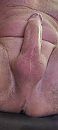 Na een dagje sauna, foto 1448x3216, 4 reacties, 3 stemmen